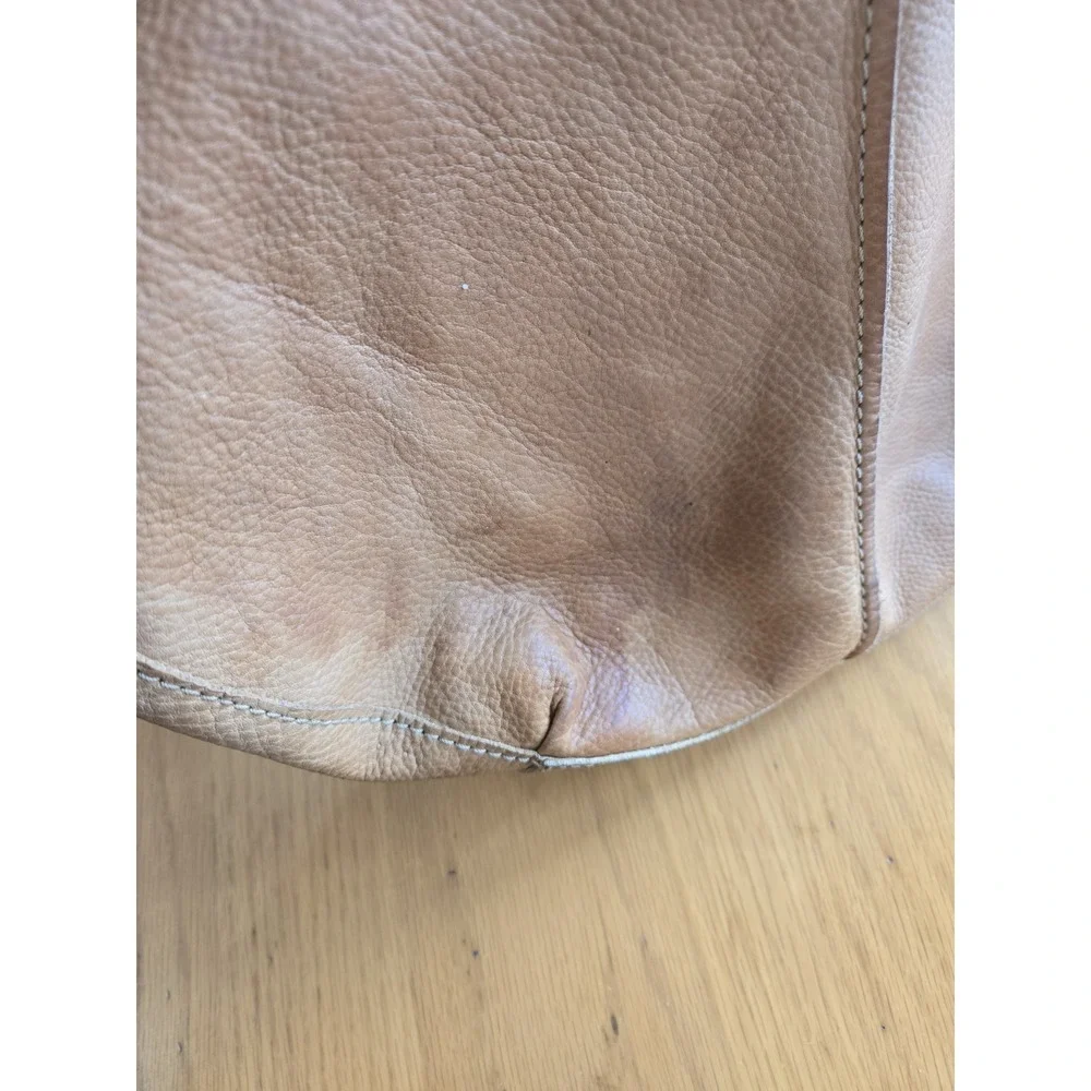 Fossil camel brown